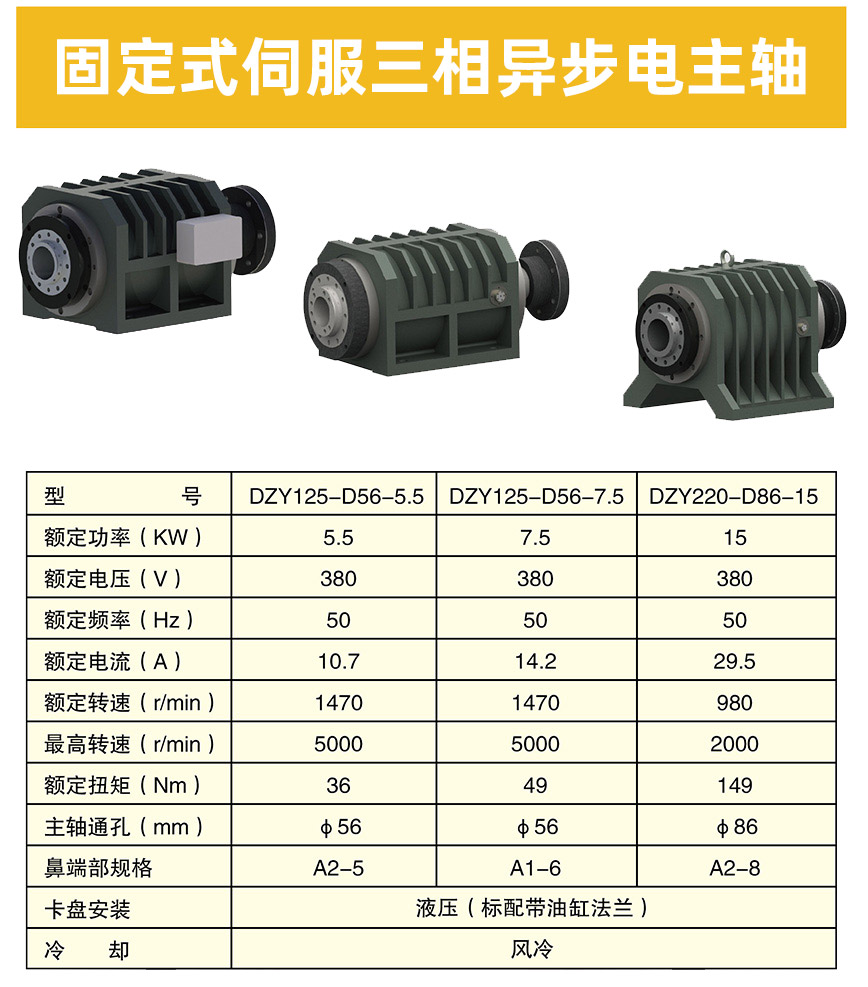 固定式伺服三相異步電主軸